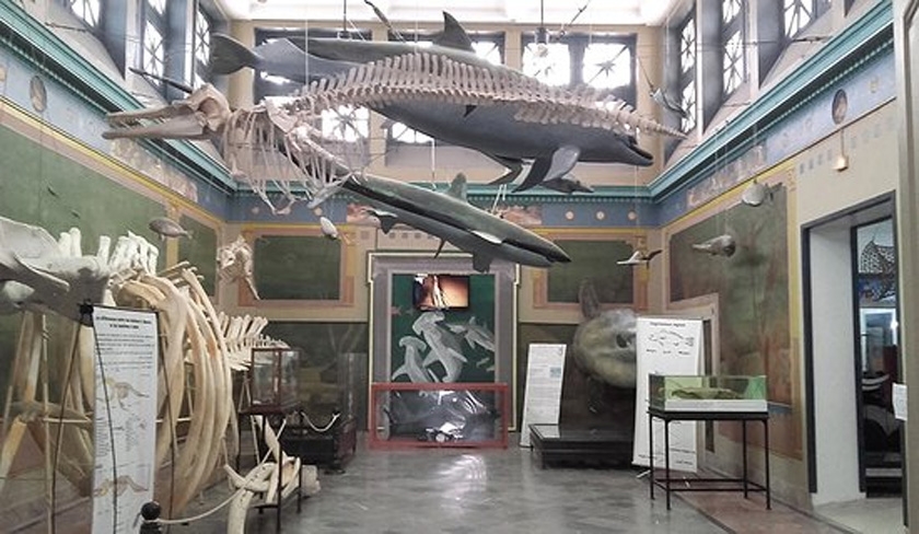 Image of Salammbô museum
